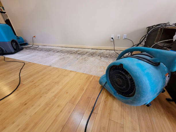 Reliable Basement Flood Cleanup contractor in Louisburg, KS by Hirex Water Damage