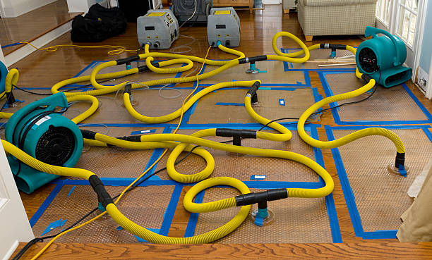 Professional Basement Flood Cleanup technician working in Louisburg, KS
